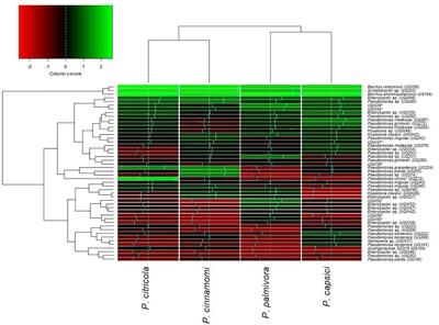 Identification of Soil Bacterial Isolates Suppressing Different Phytophthora spp. and Promoting Plant Growth